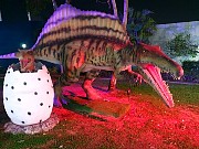 395  Dinosaur Park.jpg